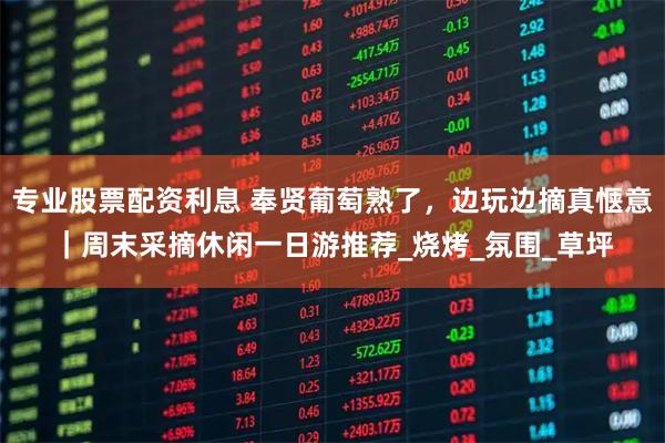 专业股票配资利息 奉贤葡萄熟了，边玩边摘真惬意｜周末采摘休闲一日游推荐_烧烤_氛围_草坪