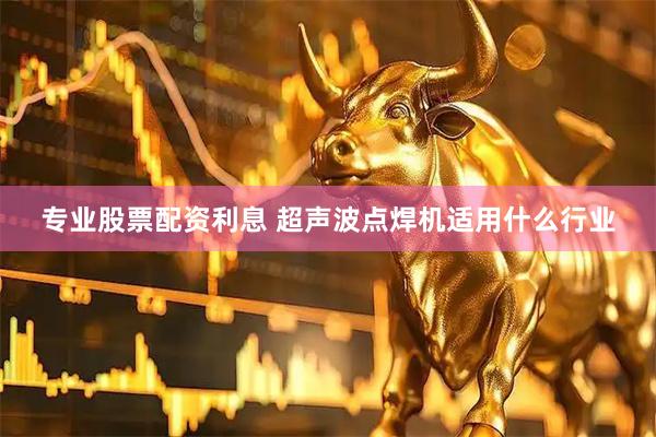 专业股票配资利息 超声波点焊机适用什么行业